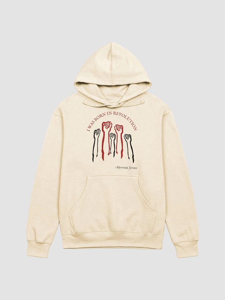 Born in Revolution Mother Jones Adult Hoodie product image (3)