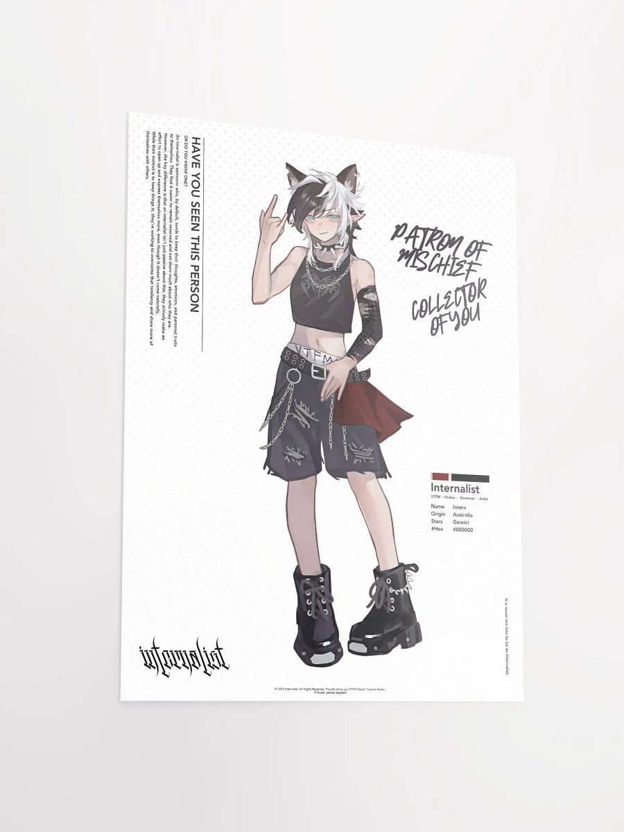 HAVE YOU SEEN THIS PERSON Poster product image (1)