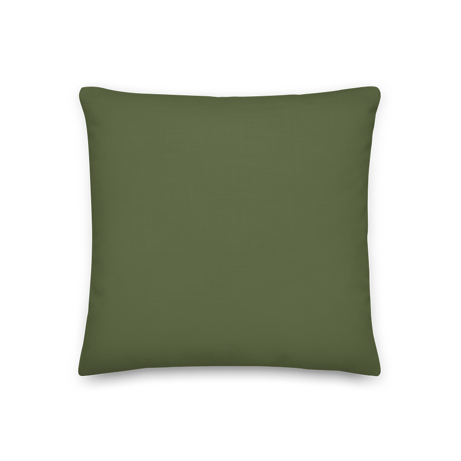 Green & Cream Gingham Throw Pillow – Fresh Boho Accent product image (2)