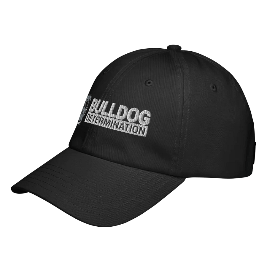 Hat product image (2)