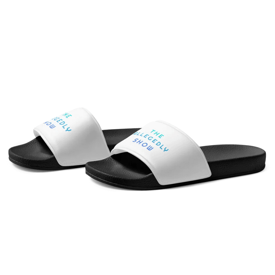 The Allegedly Show Slides product image (3)