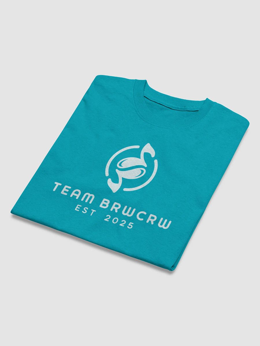 Team BRWCRW Est. 2025 T-shirt product image (3)