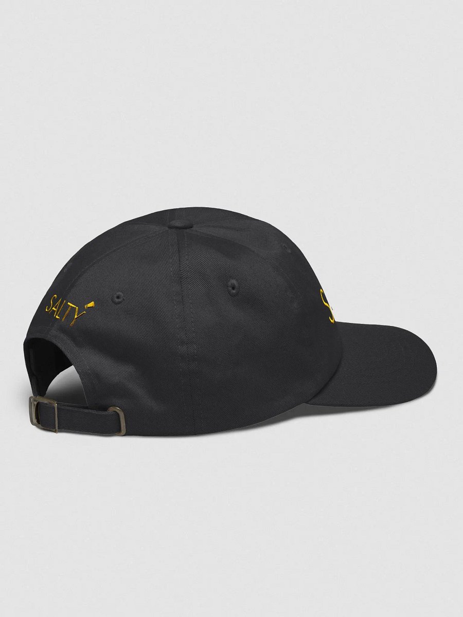 Embroidered Salty Dad Hat product image (4)