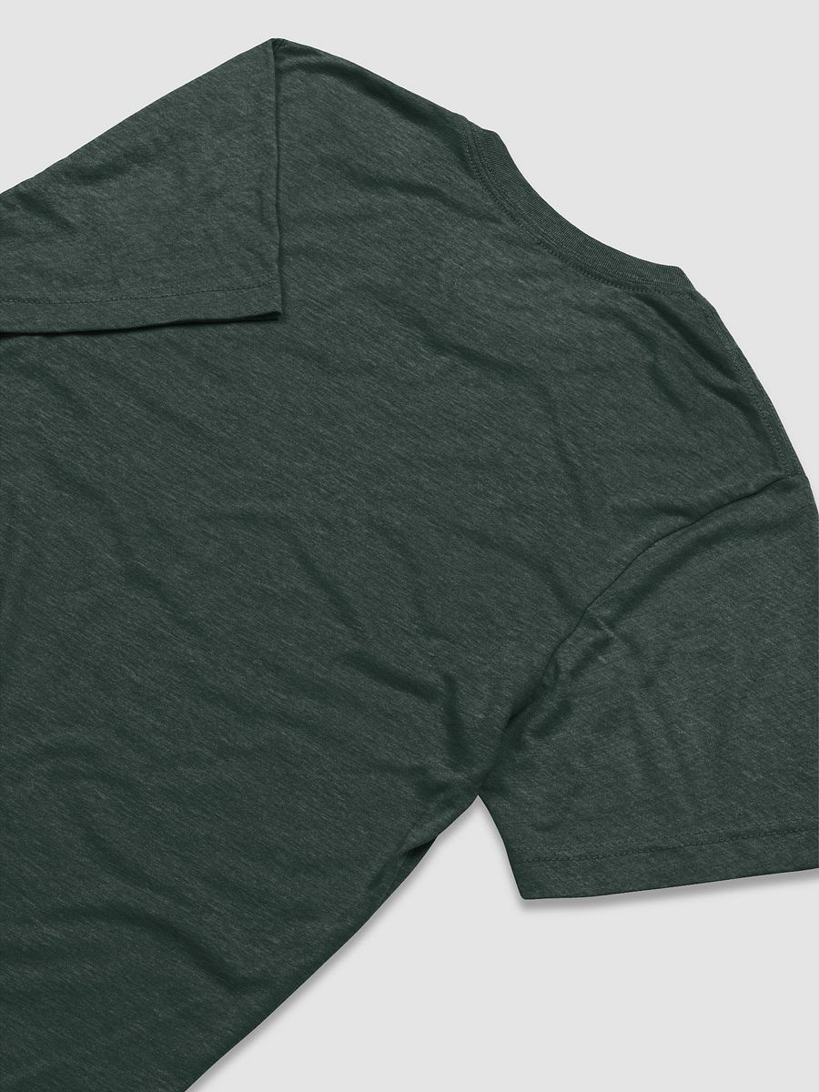 Feathered Dreams - GREEN | Triblend Tee product image (37)