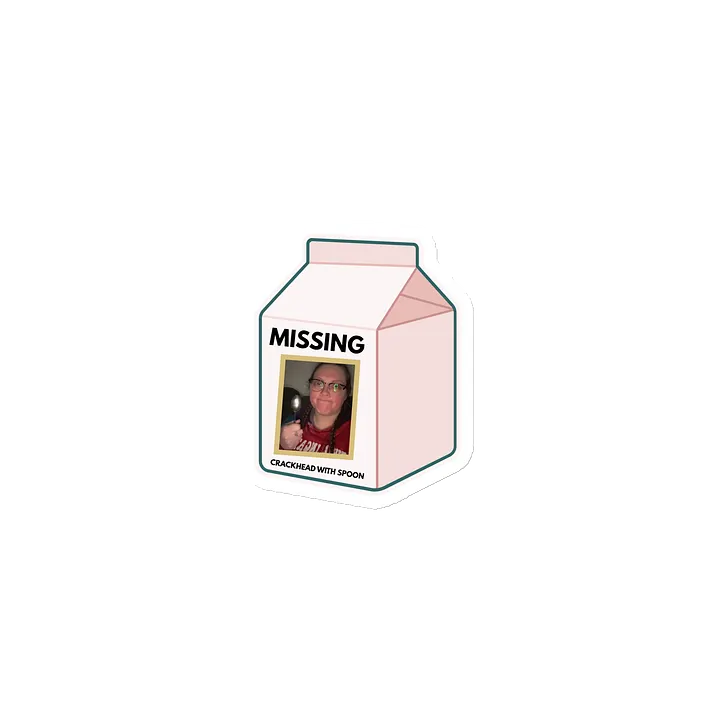 Missing Milk Carton Magnets product image (1)