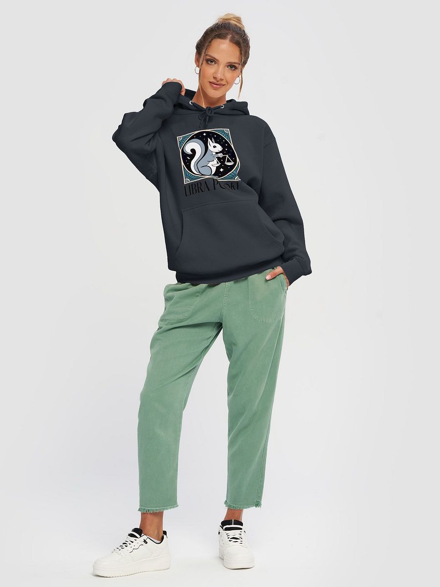Premium, super soft Hoodie: Libra Pooky product image (5)