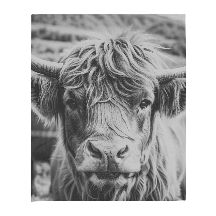 Highland Cow Blanket : Black And White product image (1)