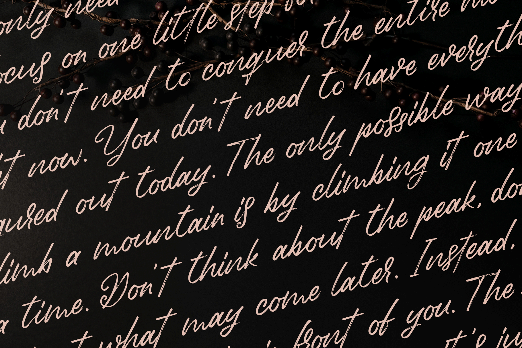 Birdinaire | A Modern Calligraphy Font product image (6)