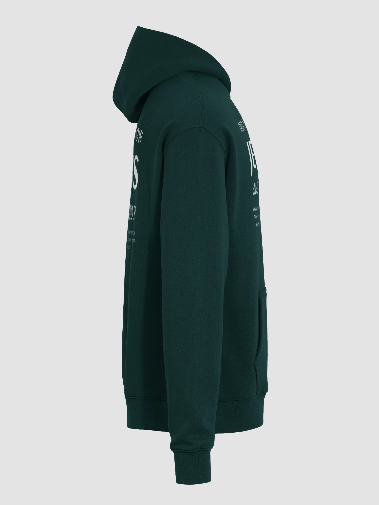 Jesus Has a God Premium Oversized Hoodie product image (22)