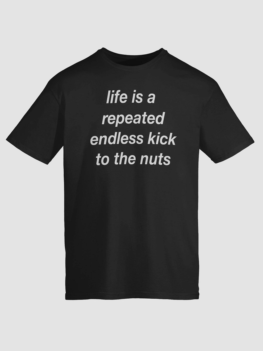 Life is repeated endless kick to the nuts product image (9)