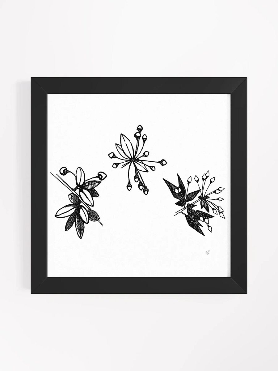 Botanical Bliss Framed Matte Poster Set - Stylized Plants product image (1)