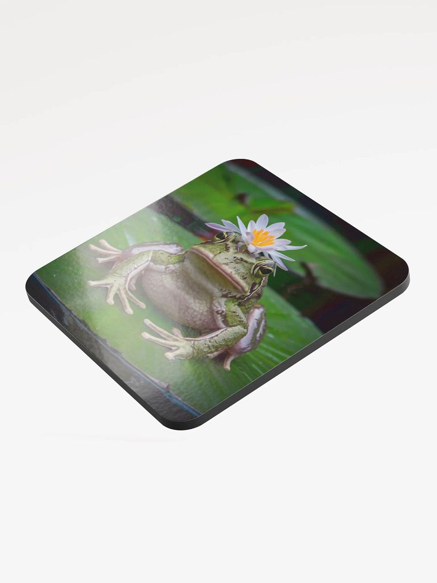 Frog Coaster product image (3)