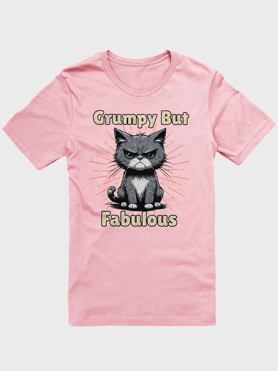 Grumpy But Fabulous Cat Cartoon T-Shirt product image (25)