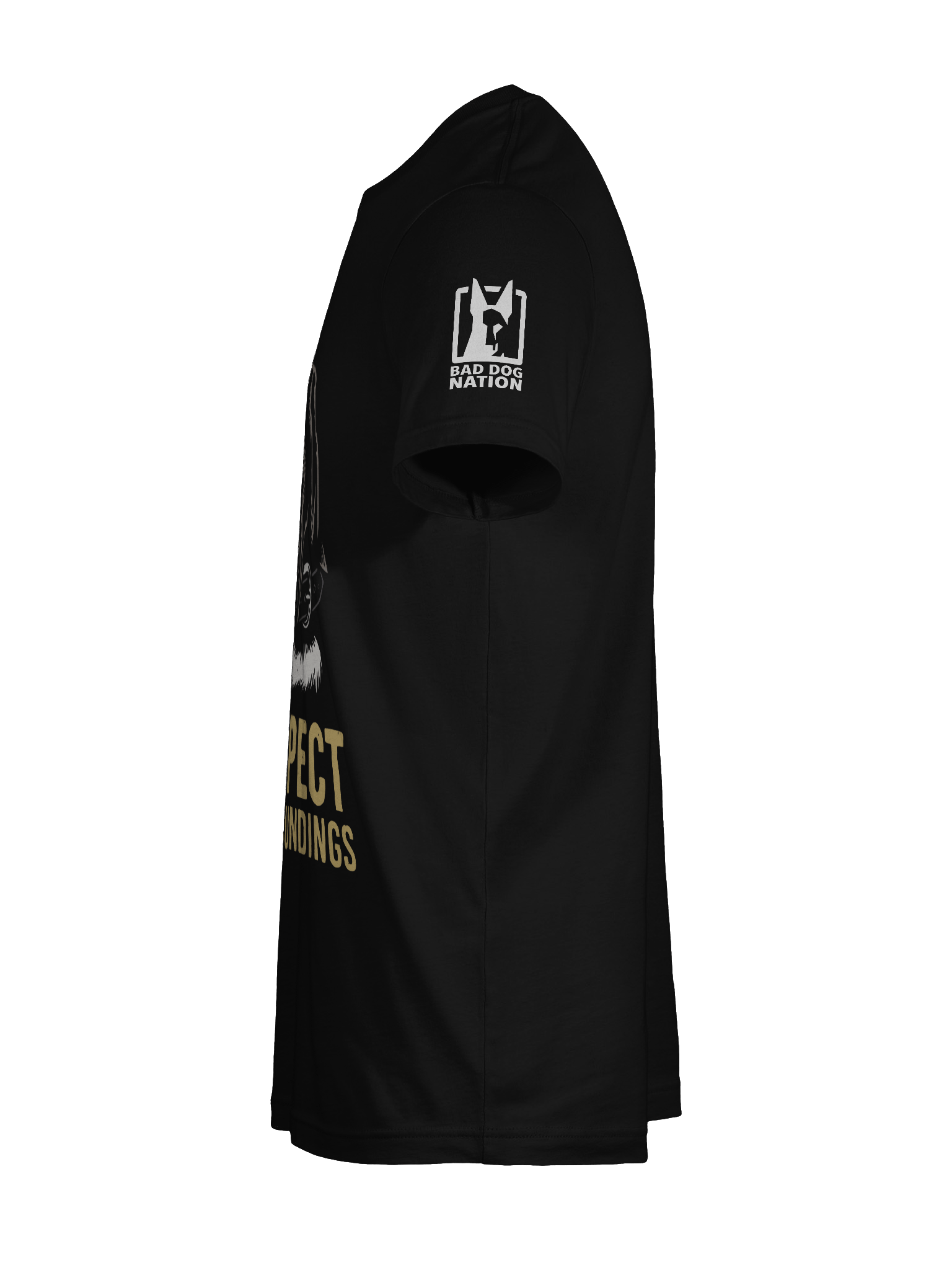 Disrespect simple - front print PREMIUM ADULT UNISEX T-SHIRT product image (4)