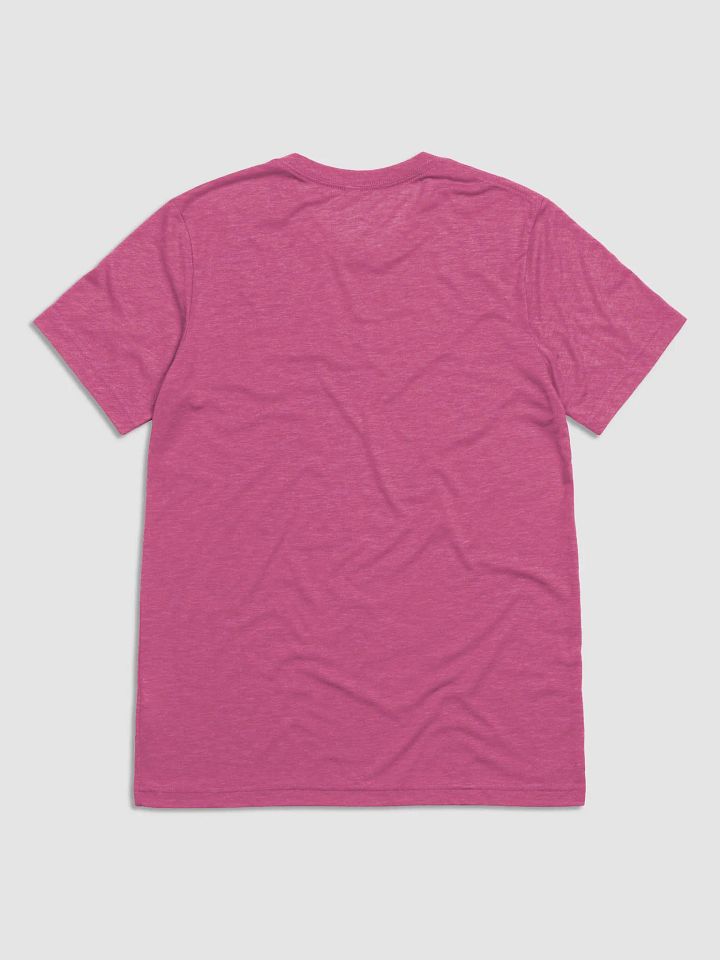 Chosen Premium TriBlend Tee - Many Colors product image (2)