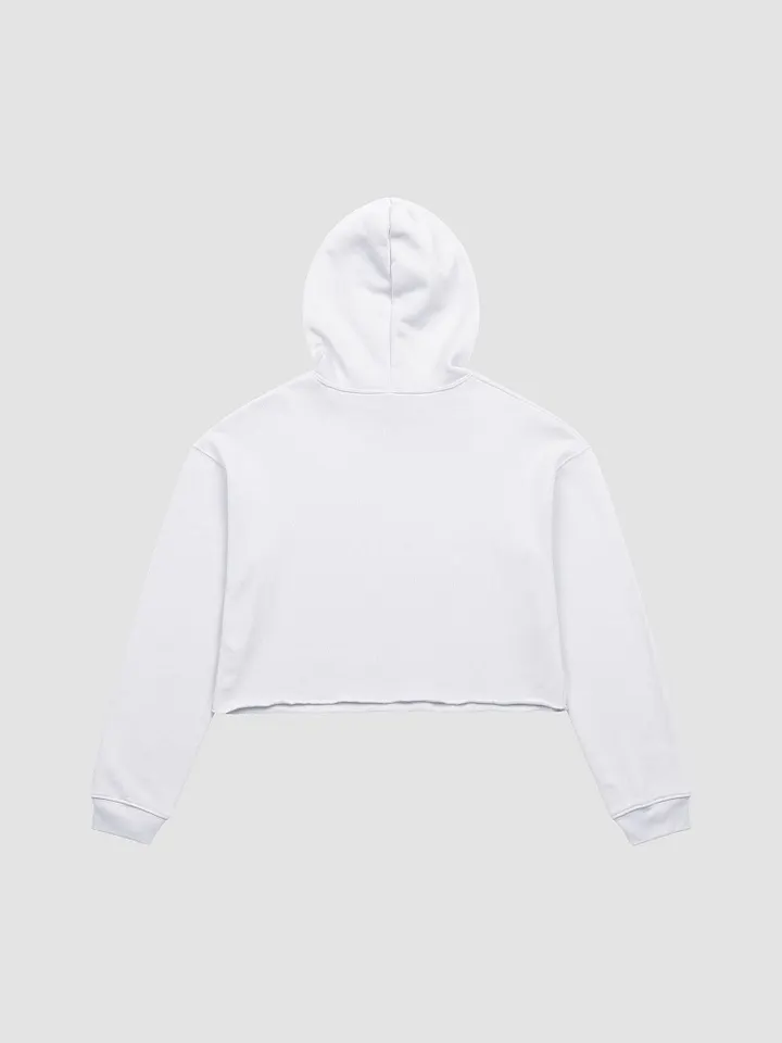 Pedantic Fleece Crop Hoodie product image (34)