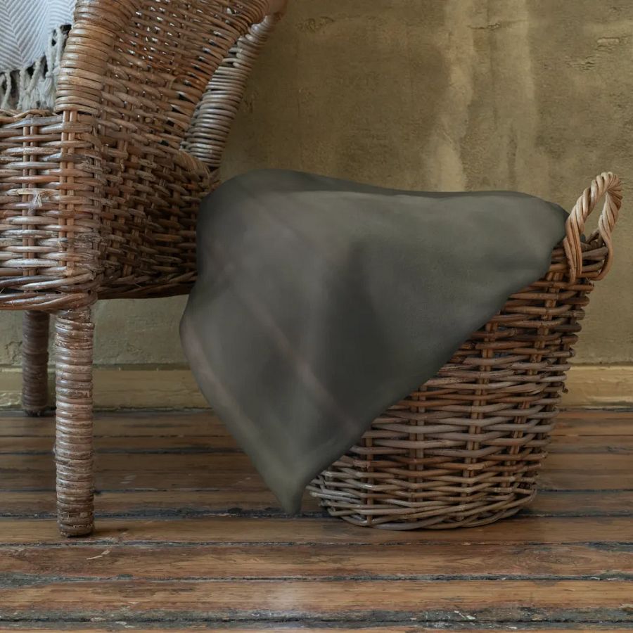 lets get steam rolling product image (22)