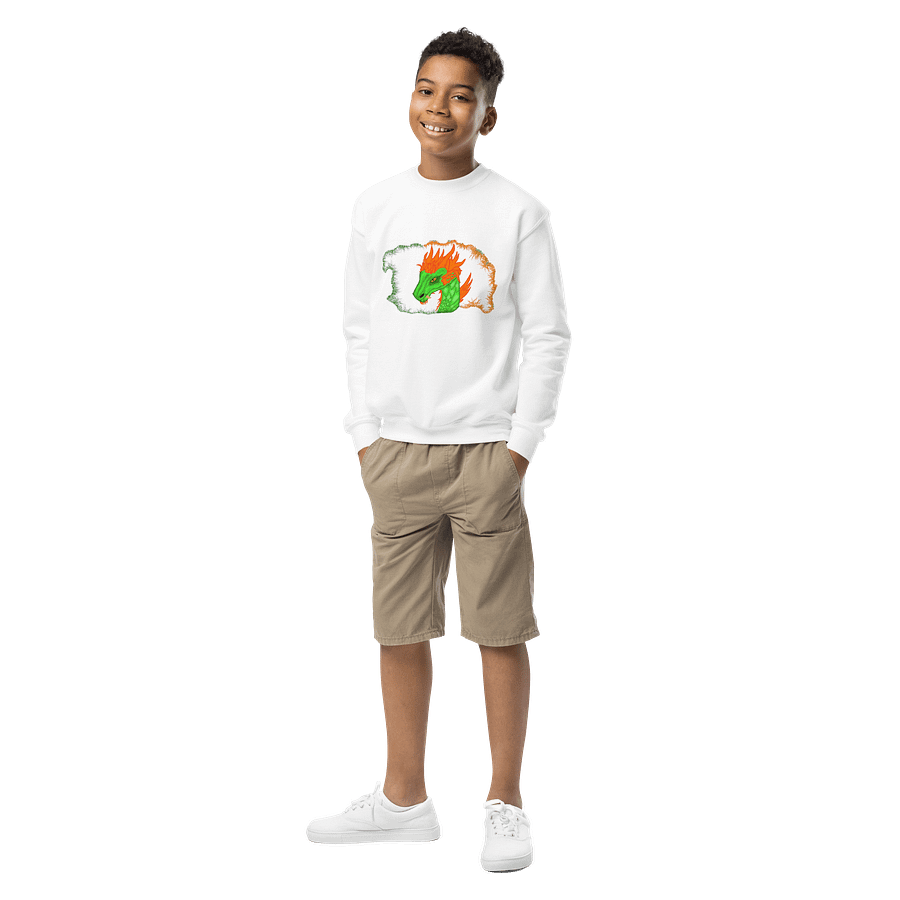 Dragon's Embrace Youth Sweatshirt product image (1)