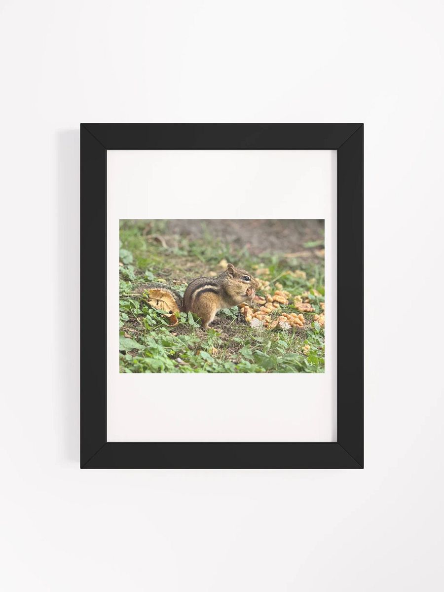 Chipmunk Delight Matte Poster product image (20)