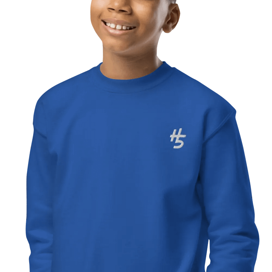 H5 Embroidered Logo Sweatshirt (Youth) product image (2)