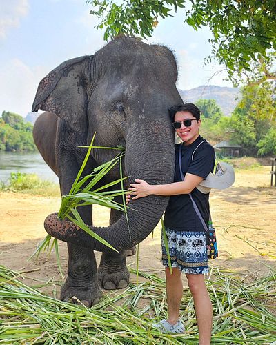 🐘🇹🇭
