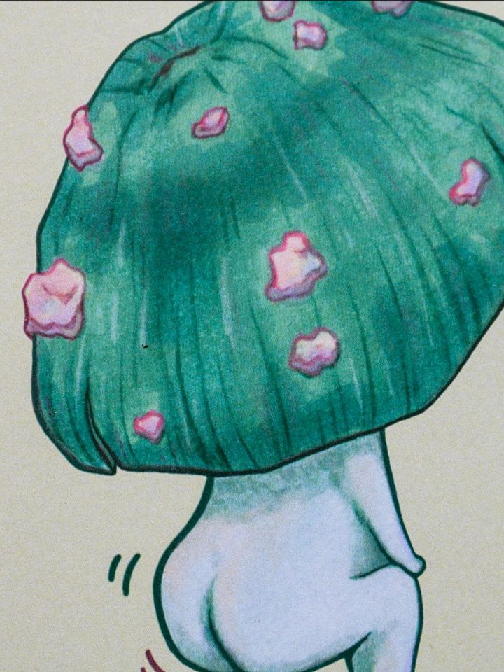 DANCE MUSH GREEN PRINT product image (2)