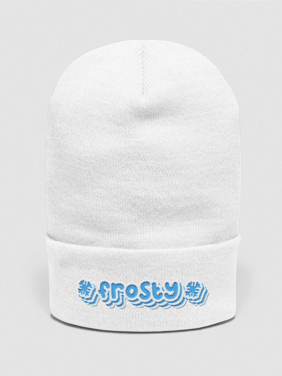 Frosty Beanie product image (4)