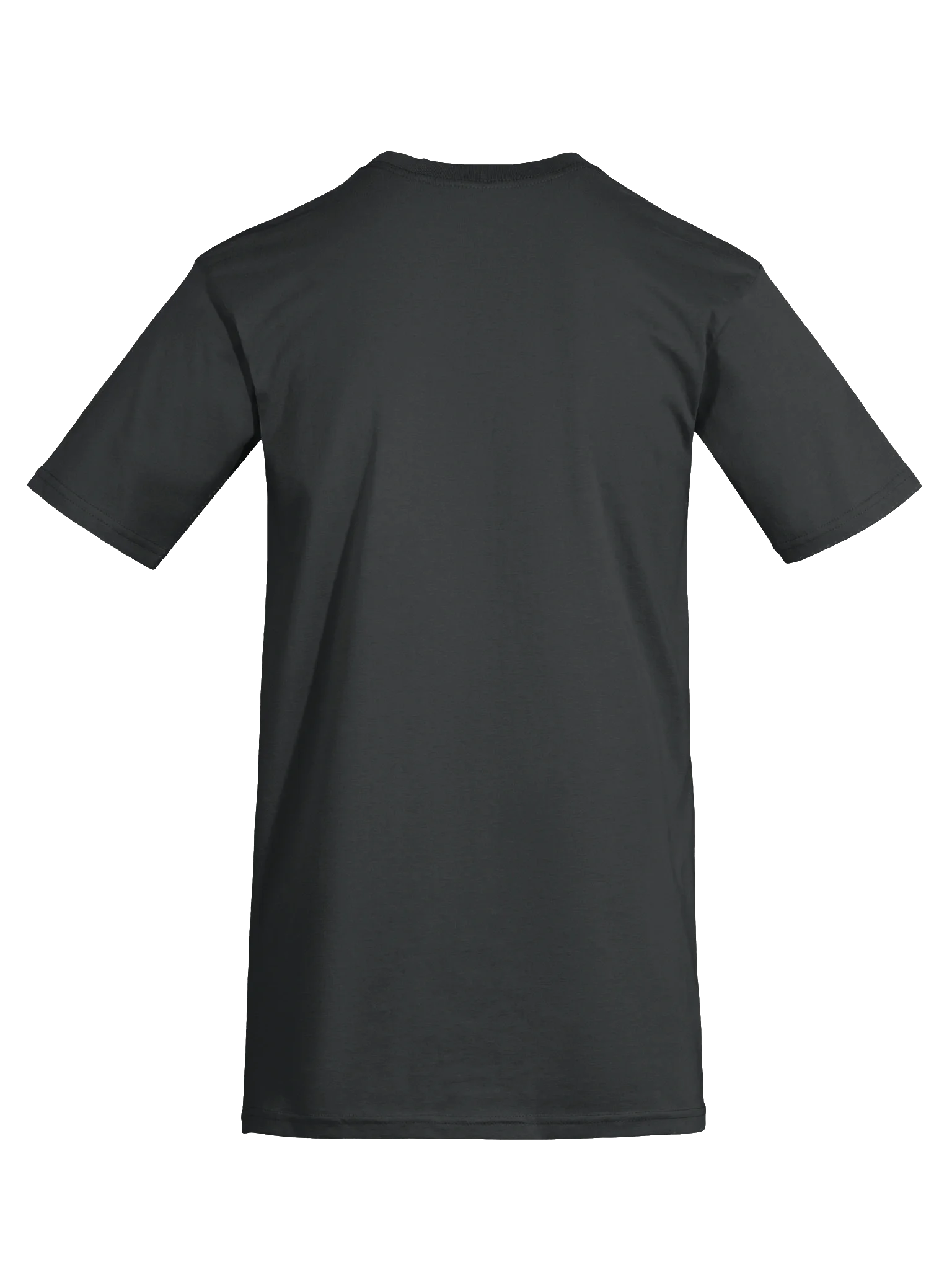 Avatarnity Men's Premium Heavyweight Tee product image (9)