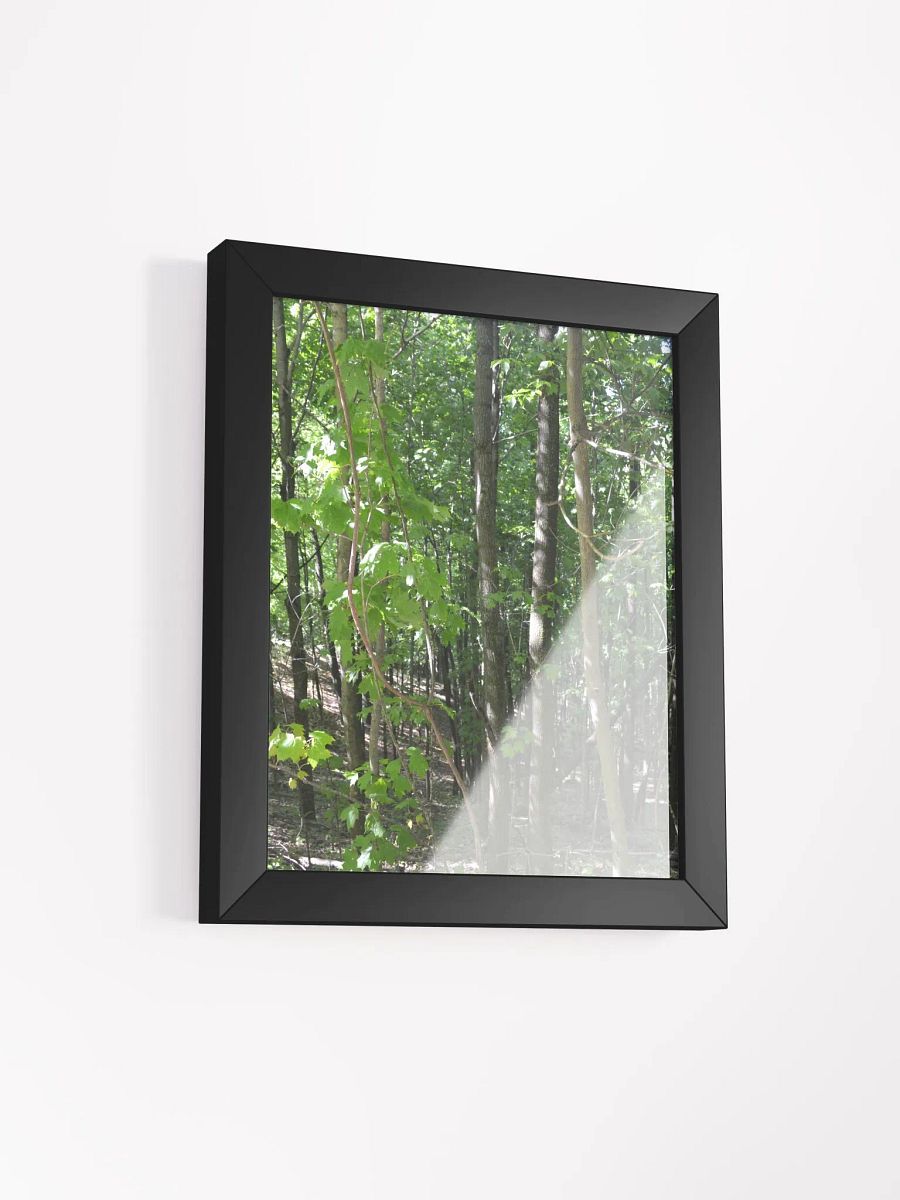 Forest High Quality Matte Poster product image (2)