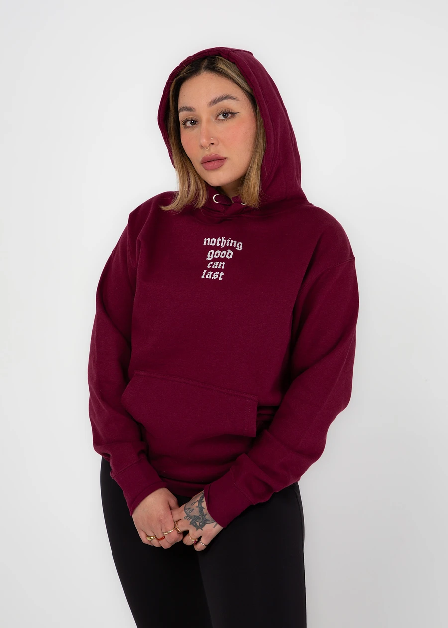 Nothing Good Can Last - Hoodie product image (17)