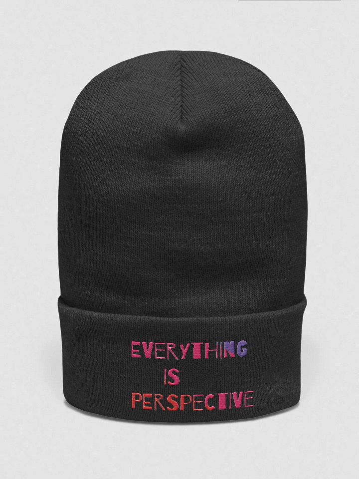 Everything Is Perspective product image (1)