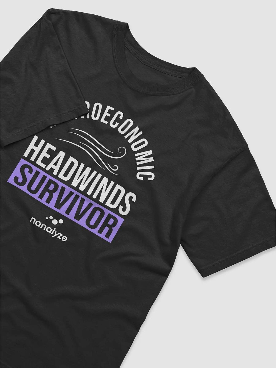 Macroeconomic Headwinds Survivor Tee product image (5)