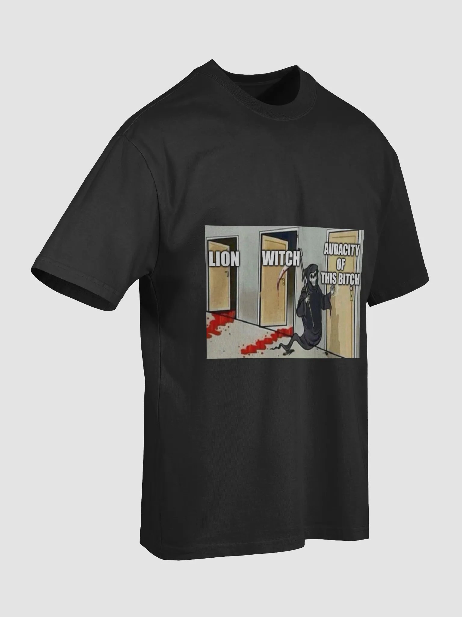 has anybody ever actually read the lion the witch and the wardrobe product image (7)