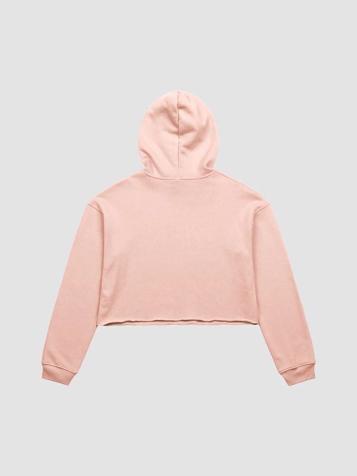 Thoughtvolutionist Crop Hoodie product image (4)