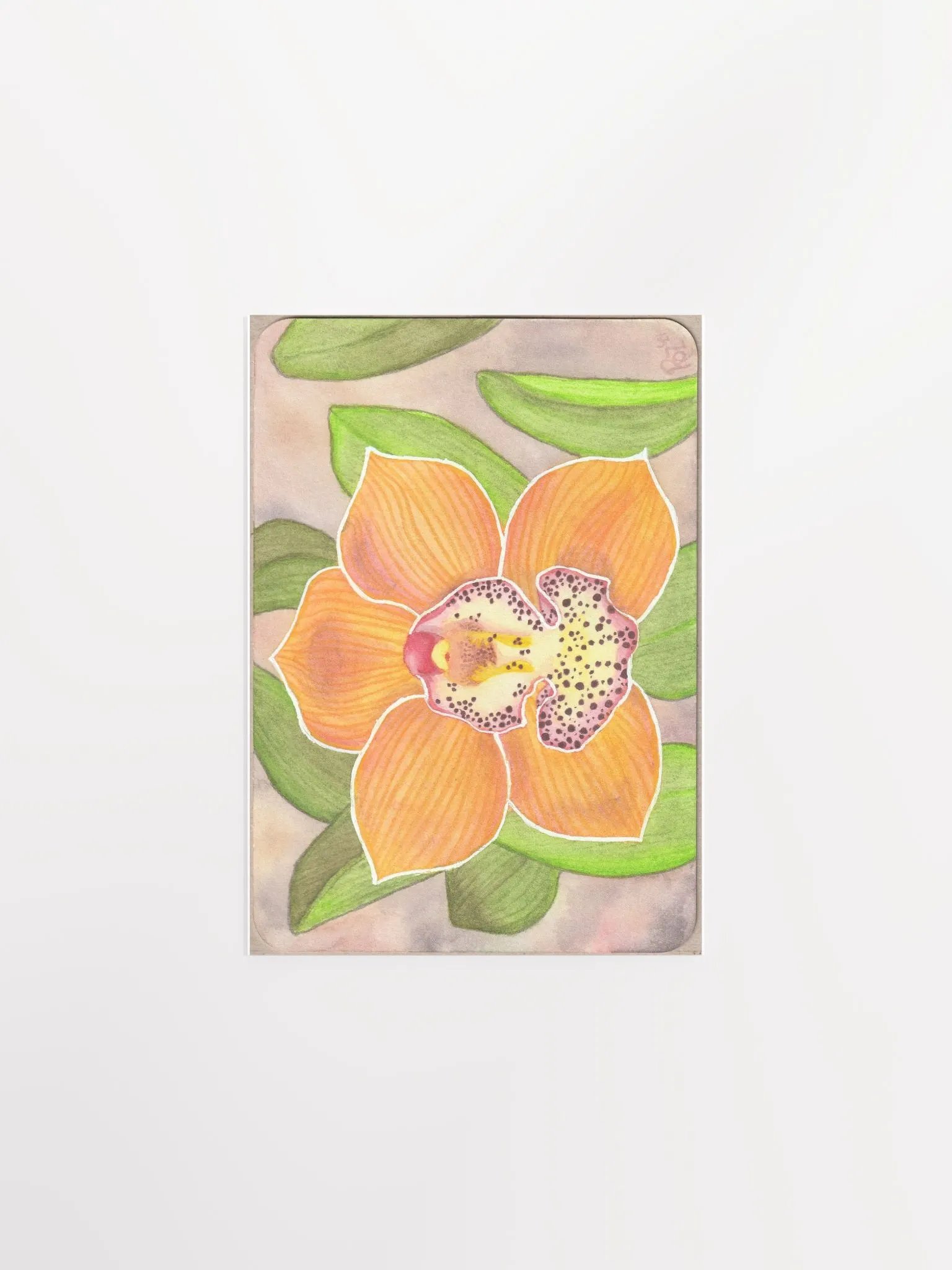 Orchid, Barrita Eminence product image (1)