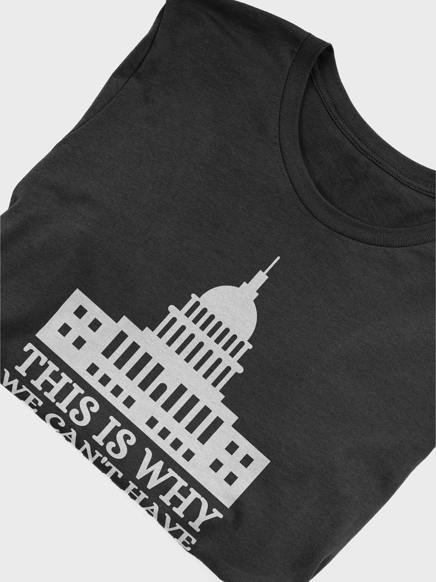 This Is Why We Can't Have Nice Things Funny Politics T-Shirt product image (5)