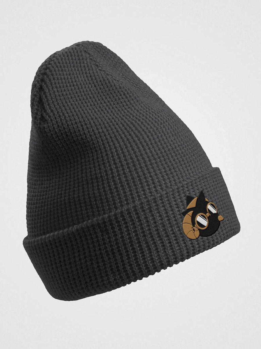 Plague Rammsie Beanie product image (11)