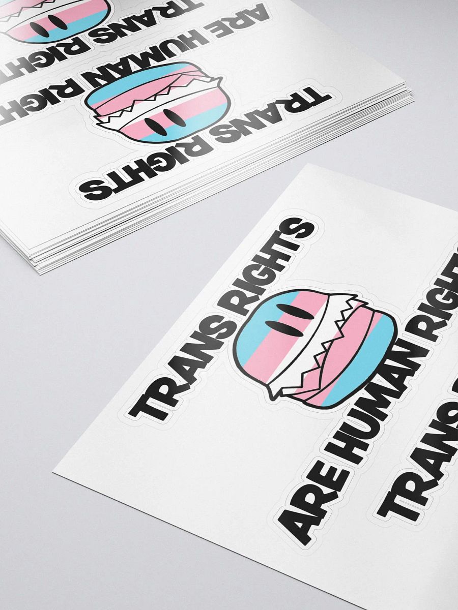Trans Rights Stickers (2-pack) product image (5)