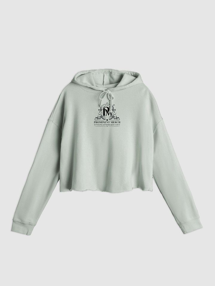 Prominent crop-top hoodie product image (2)