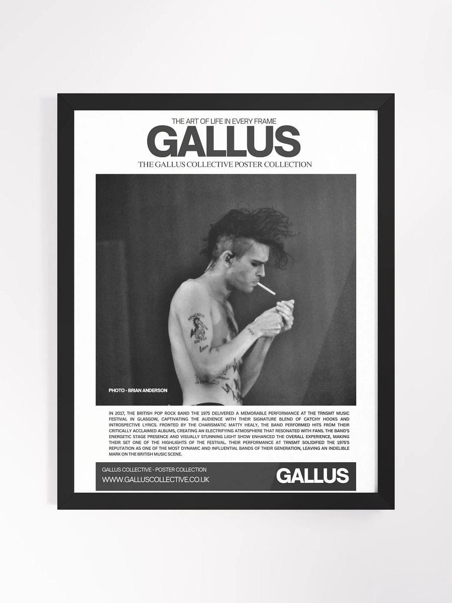 Gallus Posters product image (1)