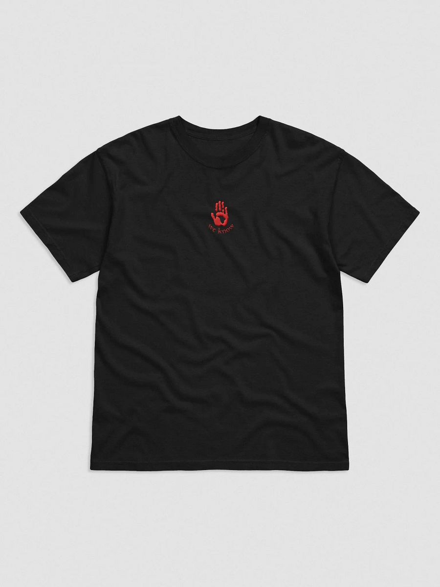 Void Embroidered Tee product image (2)