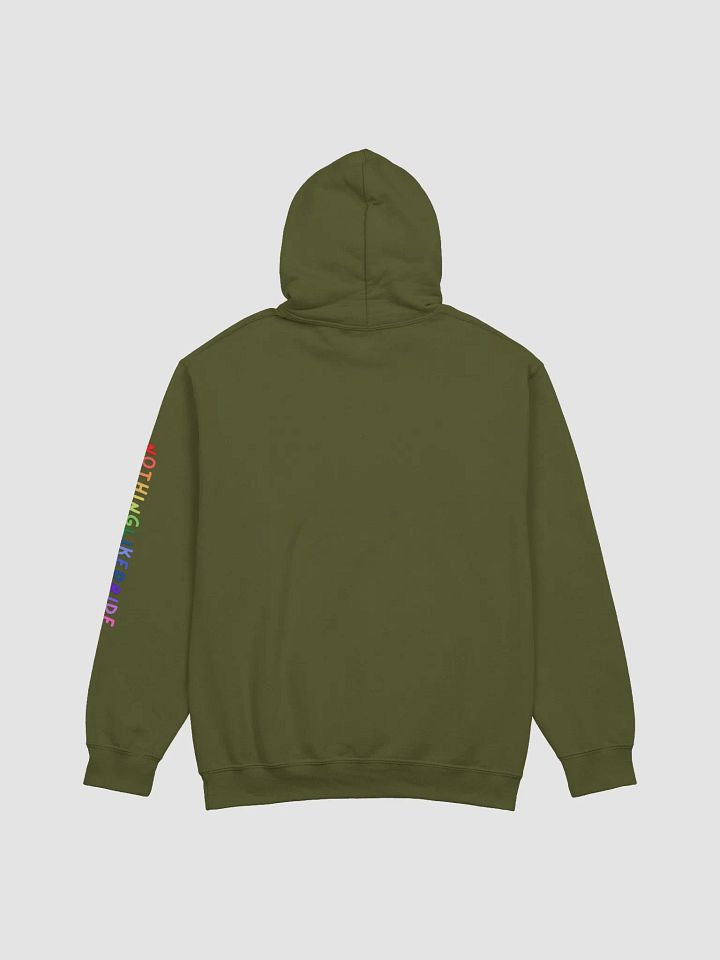 Unlabeled Pride Hoodie product image (14)