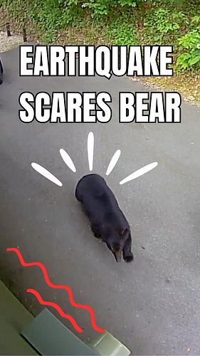 Tennessee Black Bear caught on camera being startled by Earthquake! 🐻 Have you ever experienced an earthquake? (Video by Karl...