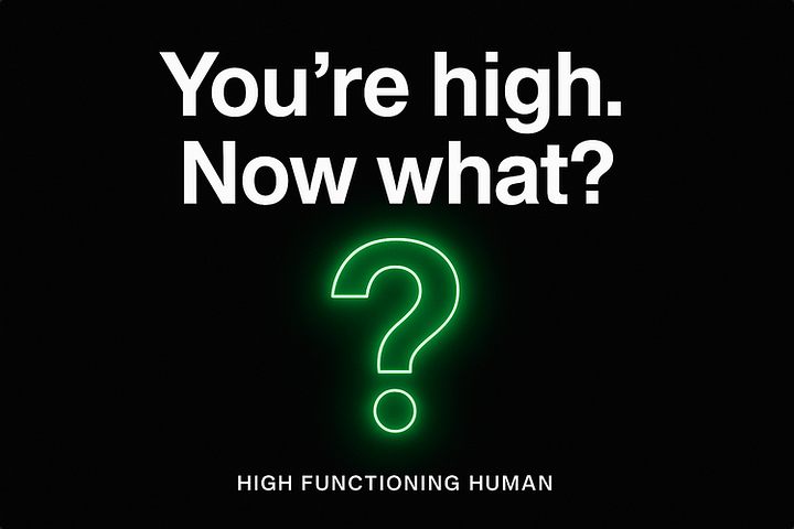 How to Get Sh*t Done When You’re High product image (1)