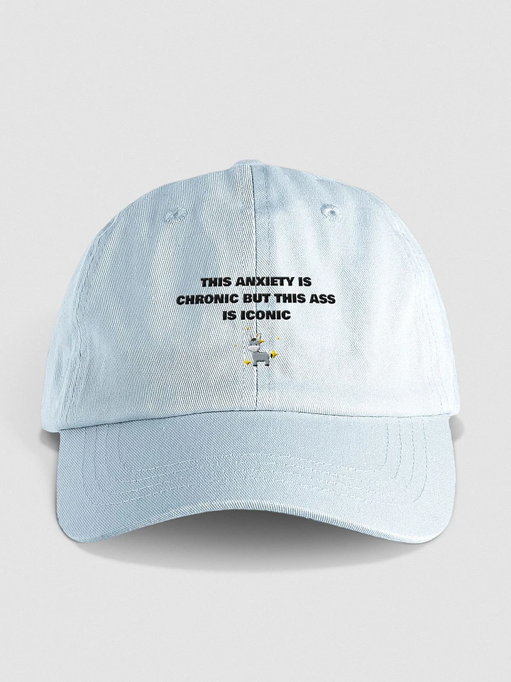 Iconic Ass Embroidered Hat product image (1)