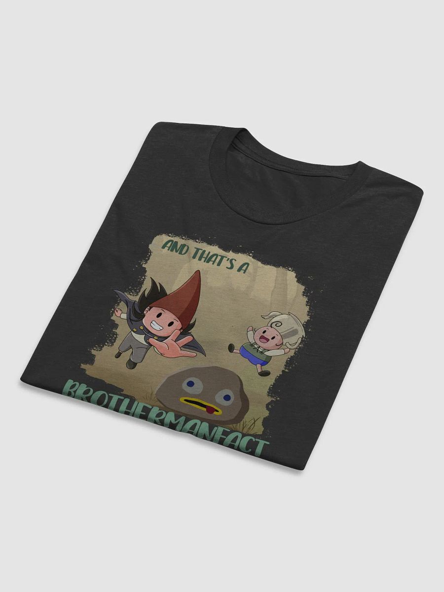 A BrotherFACT! (Triblend T-Shirt) product image (24)