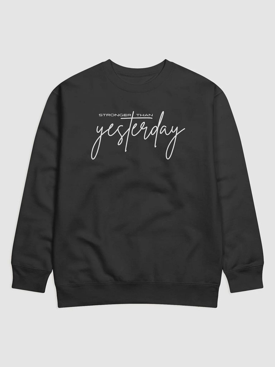 Stronger Than Yesterday Heritage Sweater product image (3)