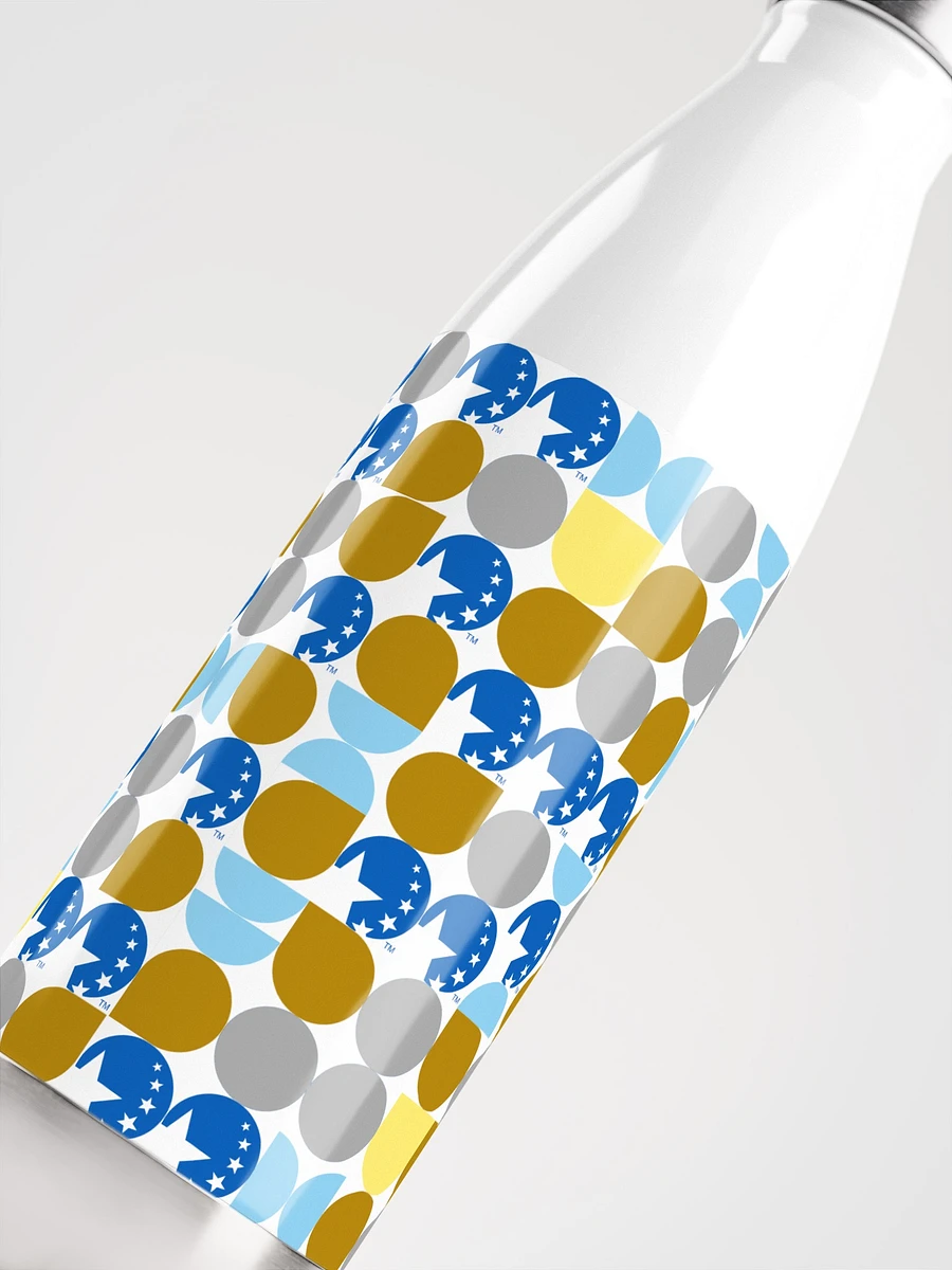Stainless Steel Water Bottle product image (5)