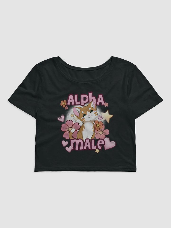 Alpha Male || Crop Top product image (1)