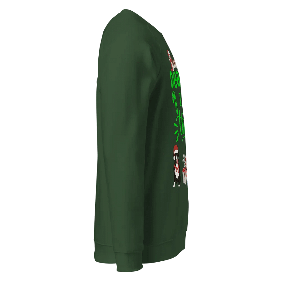 Raglan Festive Sweatshirt Santa Paws product image (4)